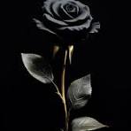 theblackrose.xyz