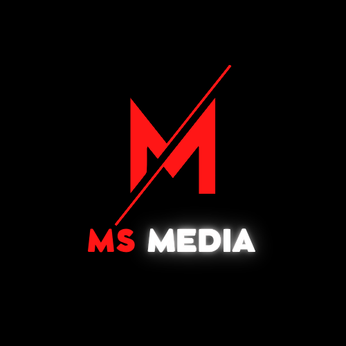 msmedialb.store