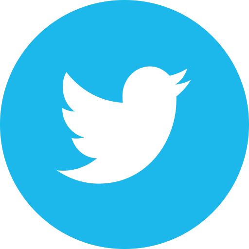 Twitter Followers