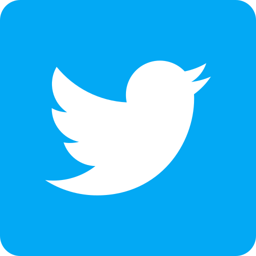 Twitter Followers