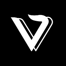 VIGGLE.AI PRO PLAN – 1 MONTH