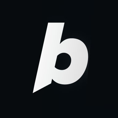 BOLT 3 MONTHS PRO PLAN