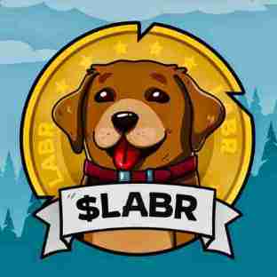 Labrador Adventures Referrals [@LabradorAdventuresBot] [SERVER 2]