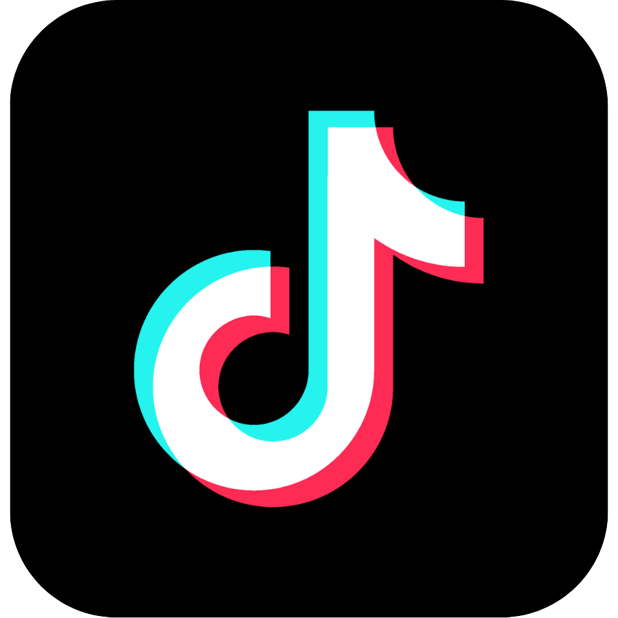 TikTok Arab 🇸🇦 Followers | Real-Looking Followers with Posts|⚡ Instant Delivery |♻️ Lifetime Guaranteed