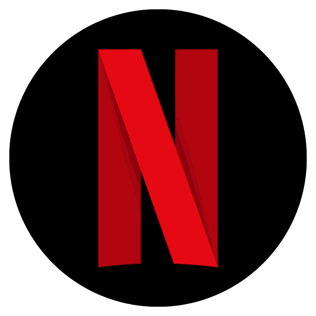 NETFLIX 250TL