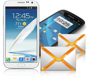 SMS Bulk Sender