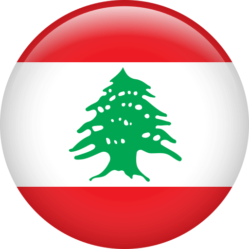 412 ❤️Instagram Likes from Lebanon🇱🇧 Users 50.000♻️365-Visit-Guarantee