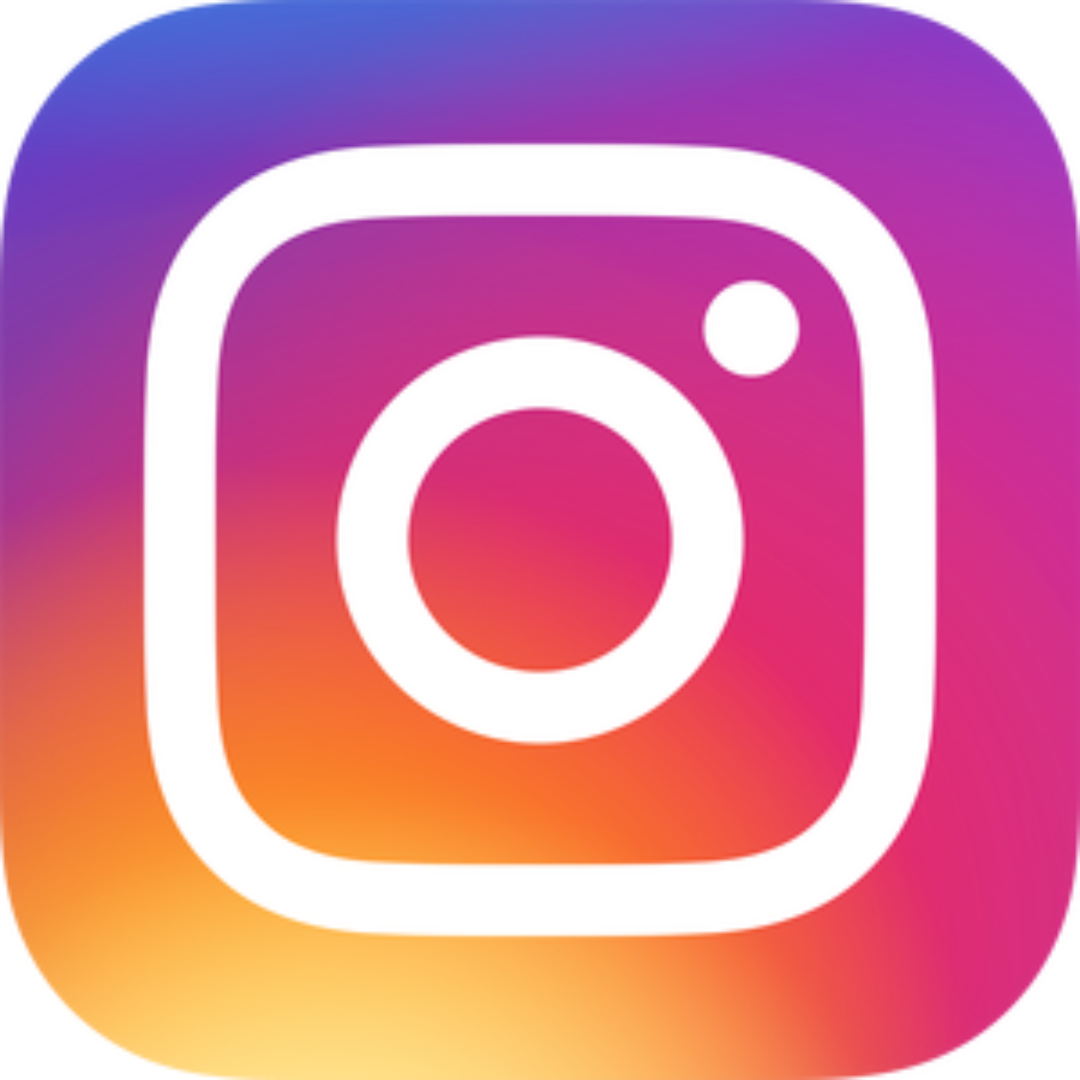 Membros do Canal do Instagram [Real]