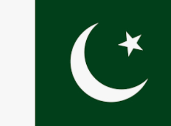Pakistani Tiktok Services