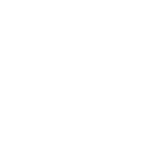 X (Twitter) Followers (HQ)