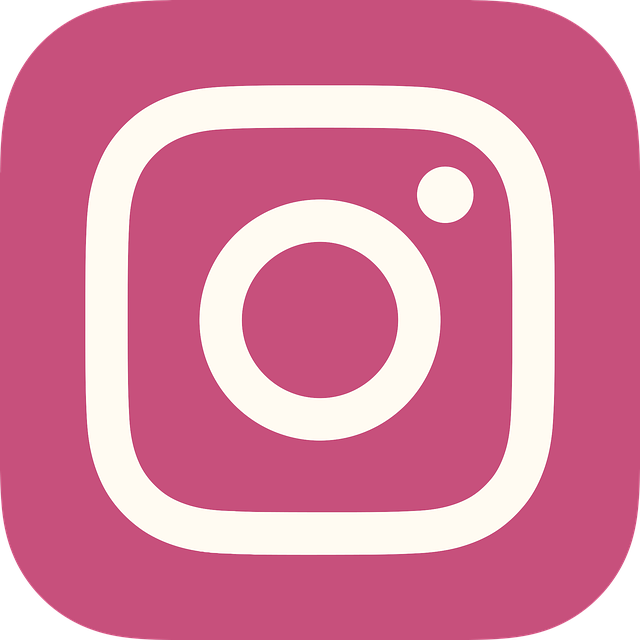 Instagram Traffic
