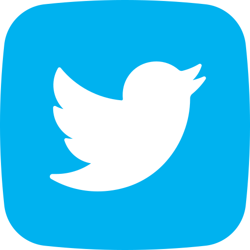 TWF Twitter Brazil Followers (100/200k) {30k/day}