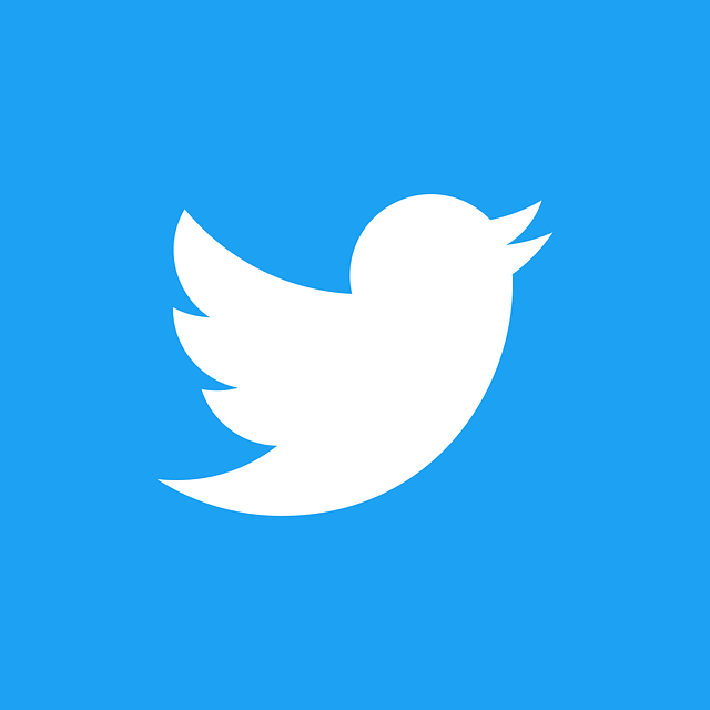 Twitter Profile Click