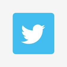 Twitter X Services