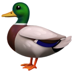 DUCKS 🦆 Referrals  [SERVER 2] (@duckscoop_bot)