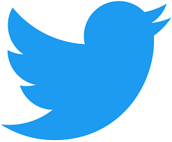 Twitter [X]