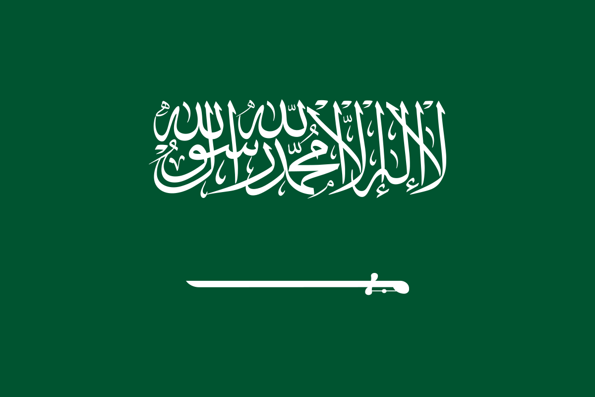TikTok Followers | Saudi Arabia 🇸🇦 | High Quality |