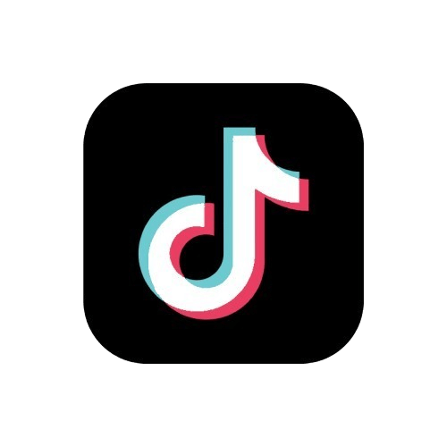 TikTok Followers [ Max 100K ] [ HQ Profiles ] [ Instant Start ]  [ 30 Day Refill] ]