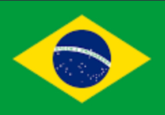 TikTok Brazil Services