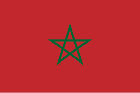 TikTok Followers | Morocco 🇲🇦 | High Quality |