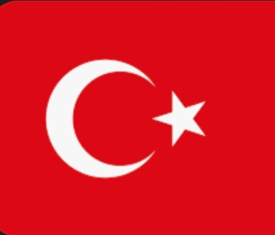تحويل بنك تركيا