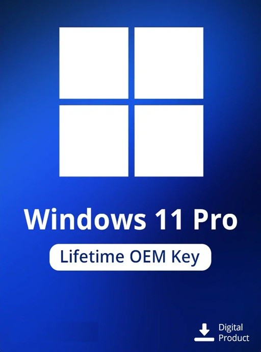 Windows 11 Pro OEM Lisans Key