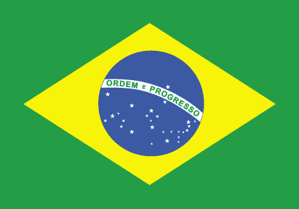 Português - Brasil