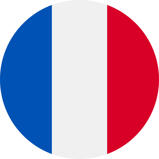 Instagram France Followers