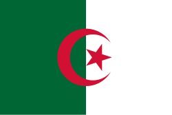 TikTok Followers | Algeria 🇩🇿 | High Quality |