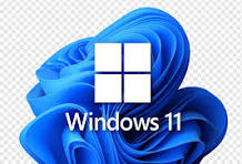 Windows 10 / 11