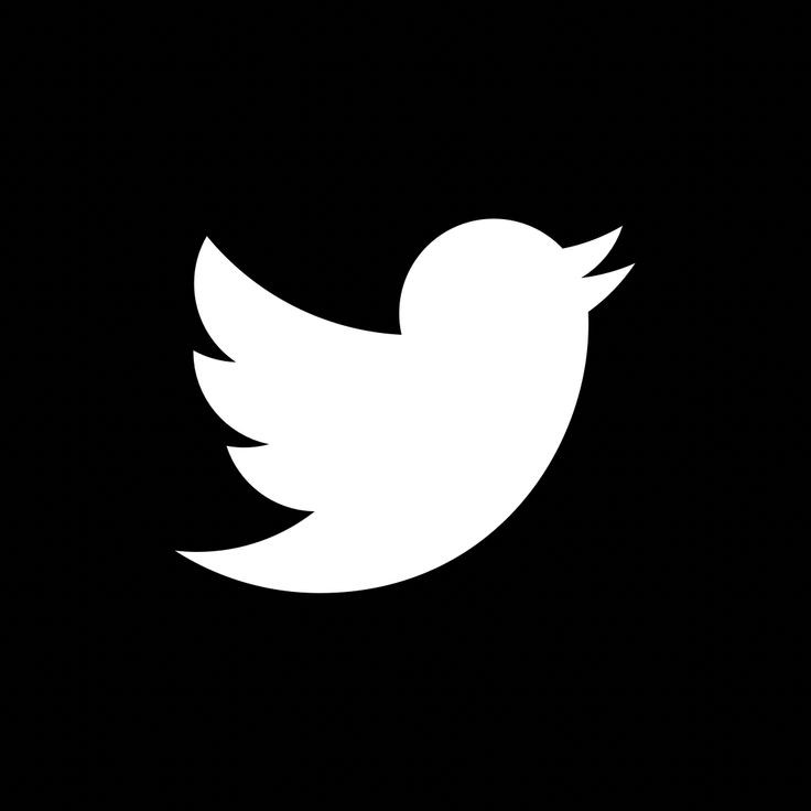 مشاهدات فيديو تويتر