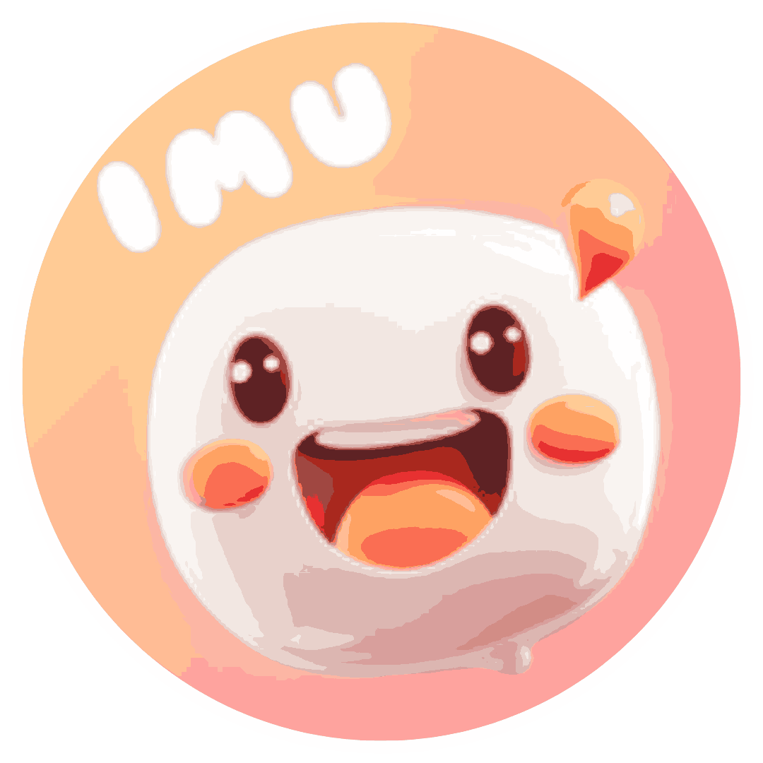 IMU