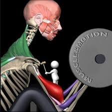 Strength Training Individual Full Access 1 Tháng (Gói Cá Nhân) 190k